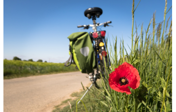 Által-ér kerékpártúra Által-ér kerékpártúra